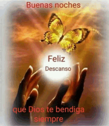 a butterfly is flying over a person 's hands with the words feliz descanso que dios te bendiga siempre .