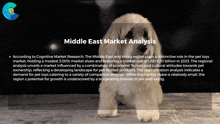 a white dog is standing in front of a middle east market analysis