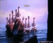 a group of seagulls standing on a rock in the ocean with the words claim written above them