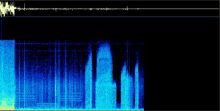 a computer screen shows a blue and yellow spectrum of sound