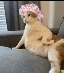 a cat is sitting on a couch wearing a pink shower cap .