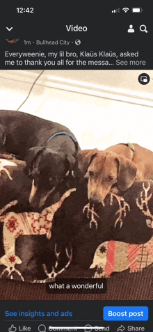 a screenshot of a facebook page showing three dogs laying in a dog bed