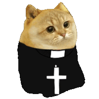 a cat with a black shirt with a cross on it