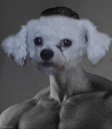 a black and white photo of a man with a dog 's head