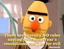 bert from sesame street says there are literally no rules saying your new years resolutions can 't be for evil