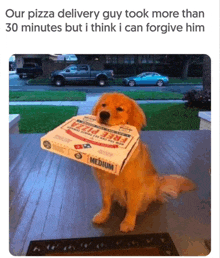 a dog is carrying a box of free pizza