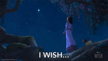 a poster for disney 's wish shows a girl looking at a star