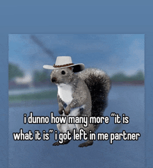 a squirrel wearing a cowboy hat says i dunno how many more " it is what it is "