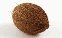 a coconut is sitting on a white surface with a white background