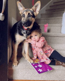 a little girl sits on the stairs next to a dog and a book