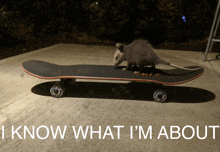 an opossum is sitting on a skateboard with the words i know what i 'm about below it