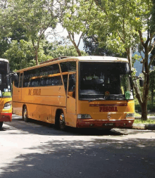 a yellow bus that says perona on the front