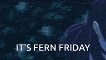 a cartoon of a man holding a sword with the words " it 's fern friday " below him