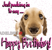 a picture of a dog with the words " just peeking in to say adeline happy birthday "
