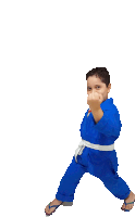 a young boy in a blue karate uniform with a white belt is making a fist