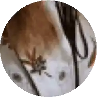 a close up of a person 's face in a circle with a white background