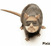 a rat with a man 's face on its face and sunglasses .