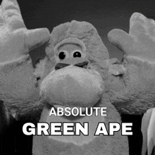 a stuffed gorilla with the words " absolute green ape " on the bottom