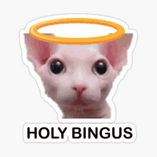 a cat with a halo on its head and the words holy bingus