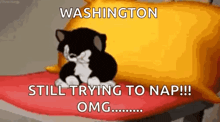 a cartoon cat is sitting on a pillow with the words `` washington still trying to nap !!! omg . ''
