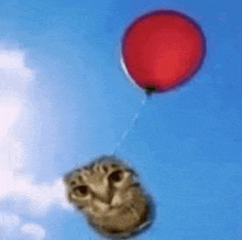 a cat is flying through the air holding a red balloon