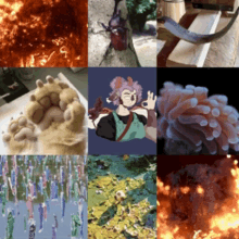 a collage of images including a cat 's paw a beetle a woman a coral and a fire