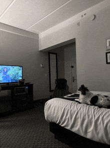 a black and white photo of a hotel room with a dog laying on a bed