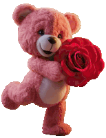 a pink teddy bear holds a red rose in its paws