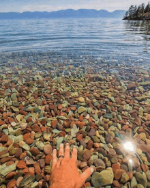 a person 's hand with a ring on it is reaching into a body of water filled with rocks