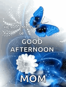 a picture of a butterfly and a flower with the words `` hey mamma good afternoon mom ''