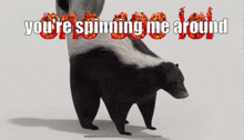 a bear standing next to a skunk with the words you 're spinning me around above it