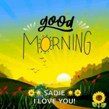 a picture of a sunset with the words good morning sadie i love you