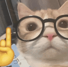 a close up of a cat wearing glasses giving the middle finger