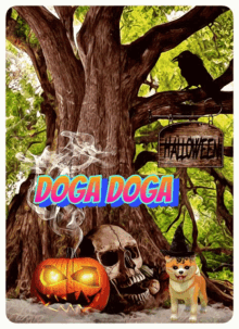 a dog wearing a witch hat stands in front of a tree with a sign that says halloween