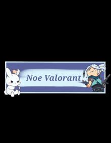 a banner that says noe valorant with a bunny