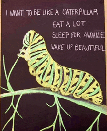 a chalkboard with a caterpillar and the words " i want to be like a caterpillar " on it