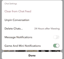 a screenshot of a chat settings screen shows the options to clear from chat feed unpin conversation delete chats and game and mini notifications