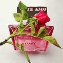 a bottle of perfume with a red rose in it