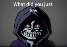 a cartoon of a skeleton wearing a hood with the words " what did you just say " above it