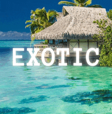 a picture of a thatched hut in the ocean with the word exotic in white letters