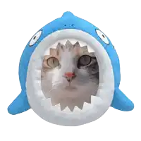 a cat is looking out of a shark shaped bed