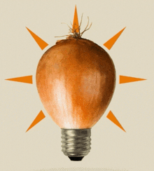 a light bulb made out of an onion with orange rays around it