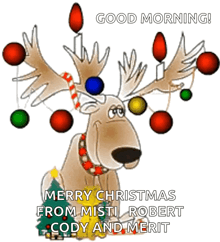 a cartoon reindeer with christmas lights on its antlers and the words merry christmas from mistl robert cody and merit