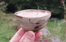 a person is holding a small bowl in their hand outside