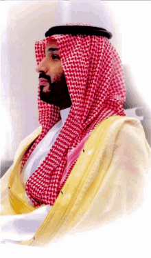 a man with a beard wears a red and white checkered scarf