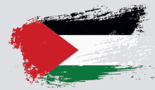 the flag of palestine is painted in a grunge style