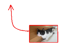 a picture of a black and white cat is next to a red arrow pointing up