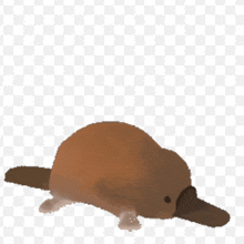 a cartoon drawing of a brown platypus with a long beak on a checkered background