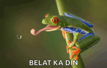 a frog with its tongue hanging out and the words " belat ka din " above it