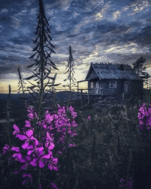 a small wooden house sits on a hill with purple flowers in front of it